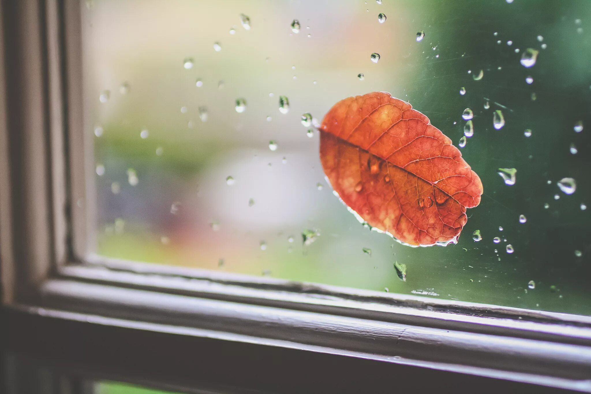 Листья на подоконнике. Осенний дождь. Осень дождь окно. Капли дождя на окне. Листья на окна.