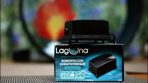 Компрессор лагуна