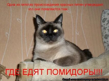 Высоко лежащий