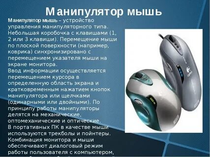 Какая функция мыши