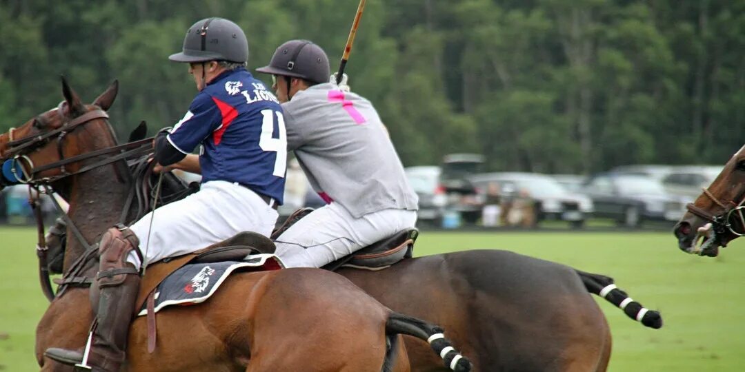 Хорсес поло. Крокет на лошадях. Polo sport. Спортивные лошади. Хорсбординг.