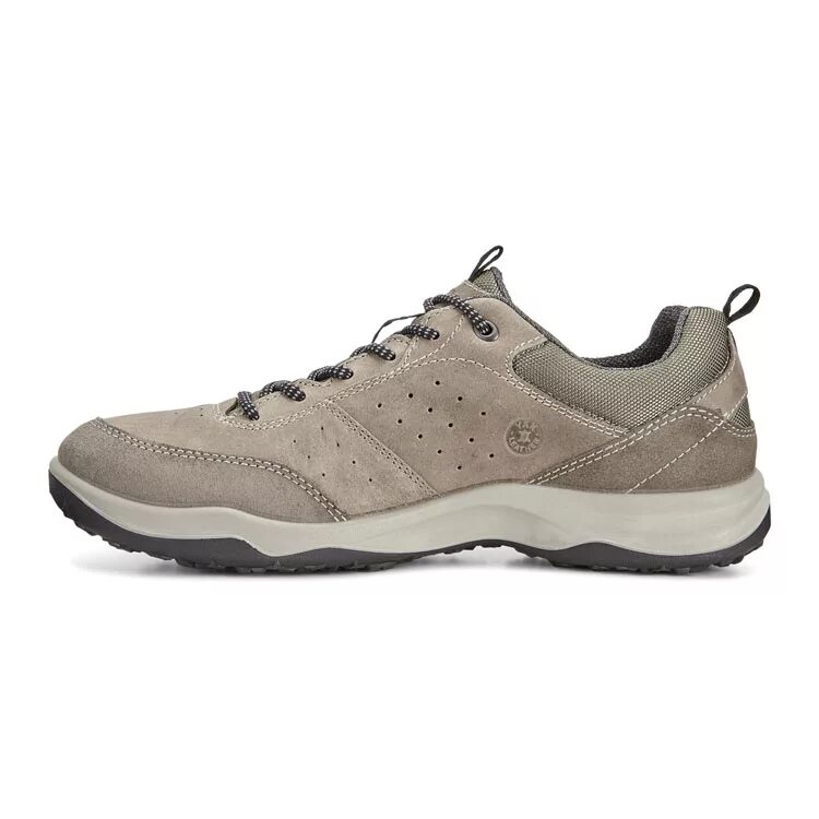 Кроссовки ecco Espinho. Экко Эспино мужские кроссовки. Ecco men's Espinho Speed Lace Hiking Shoe. Серебристые кроссовки ecco. Кроссовки ecco отзывы