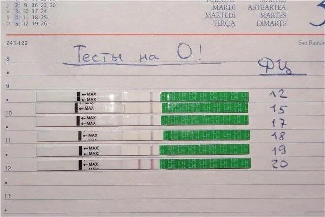 Когда после овуляции можно делать тест. Тест на беременность после овуляции. тест на овуляцию и беременность. тест на беременность до овуляции. тесты на беременность по дням овуляции.