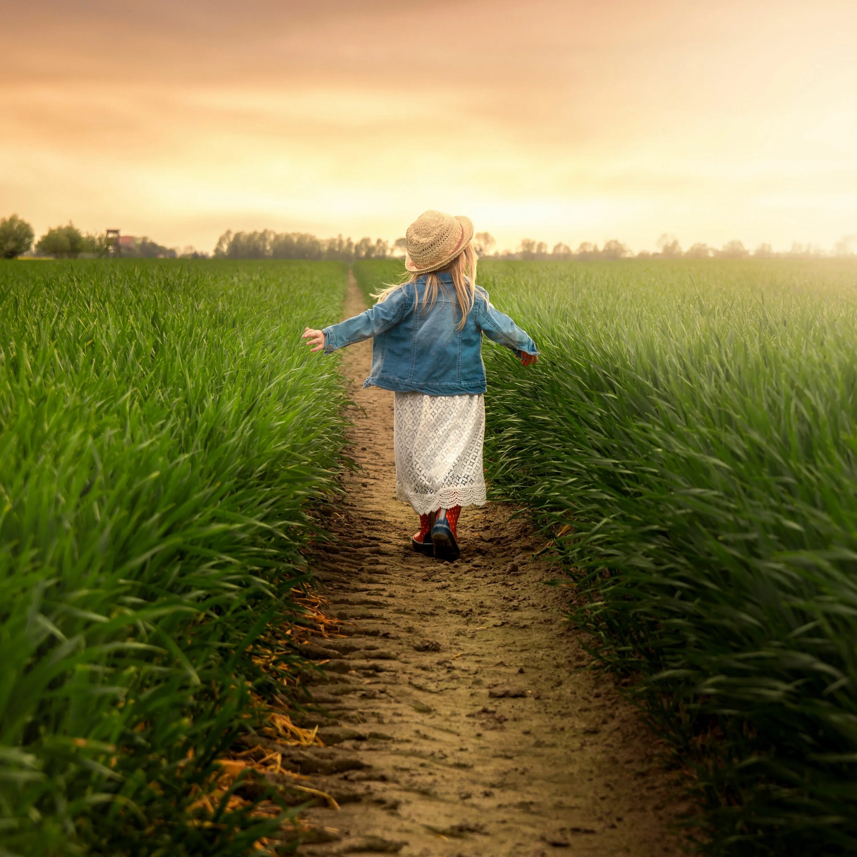 Дети в поле. Девочка в поле. Бежит по полю. Девочка бежит по полю.