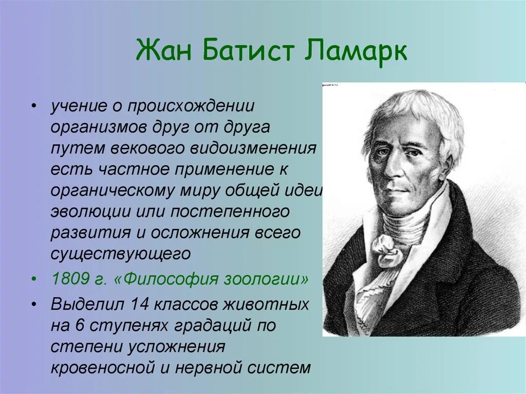 Почему теория ламарка о развитии организмов. Эволюционное учение жана Батиста Ламарка.