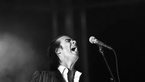 Nick cave the bad seeds