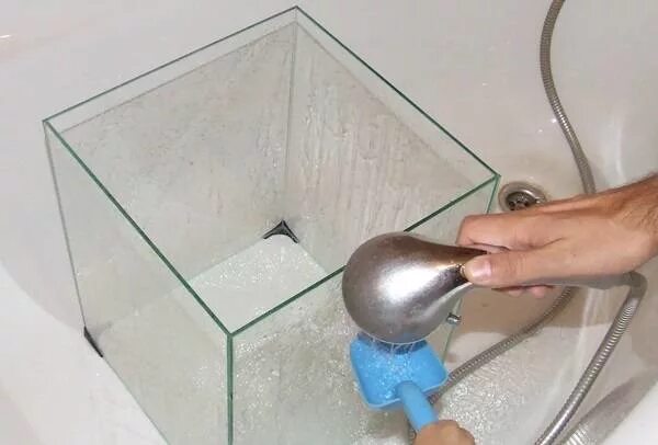 Обслуживание аквариумов. Чем можно отмыть аквариум. Известковый налет на аквариуме. Рыбки аквариумные для чистки аквариума. Чем можно отмыть аквариум.