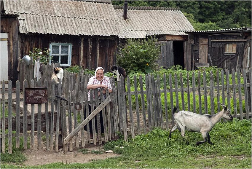 Деревенский пока. Деревенская жизнь. Жизнь в деревне. Жить в деревне. Деревенские дома и хозяйства.