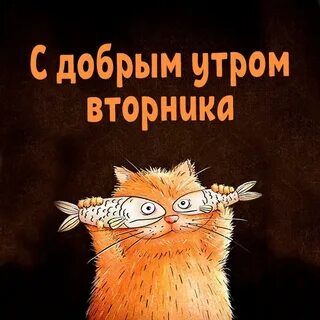 Утро вторника прикольные и смешные картинки