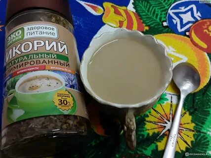 Цикорий сублимированный польза и вред