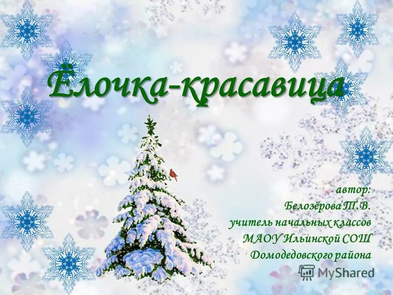 ёлочка красавица всем. картинки по теме "ёлочка красавица. "ёлочка красавица" название поделки. наша елочка красавица. презентации «ёлочка-лесная красавица».