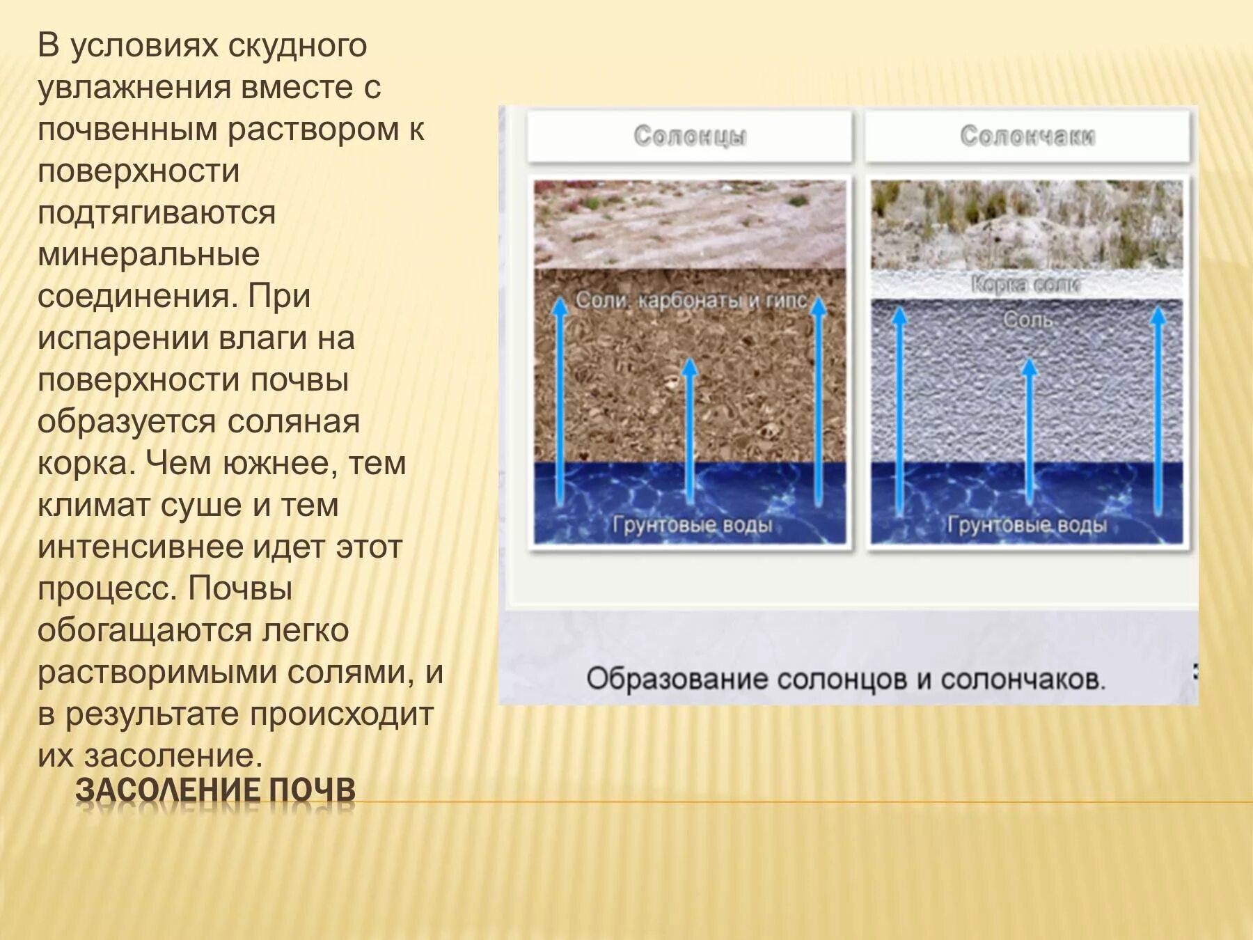 Почвенная влага. Засоление почв схема. Засоление почв в России. Испарение влаги с поверхности. Почвы формируется в условиях избыточного увлажнения