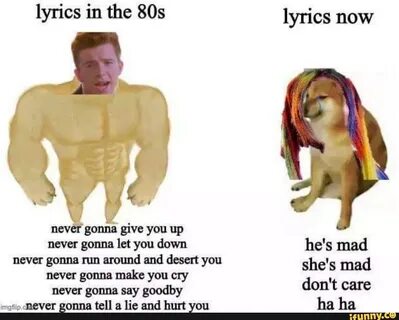 Never gonna give you up never gonna let you down never gonn...