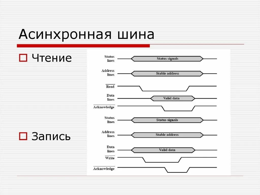 Типы шины данных. Типы шины данных