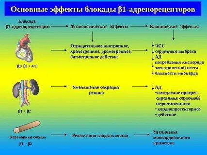Хронотропное действие