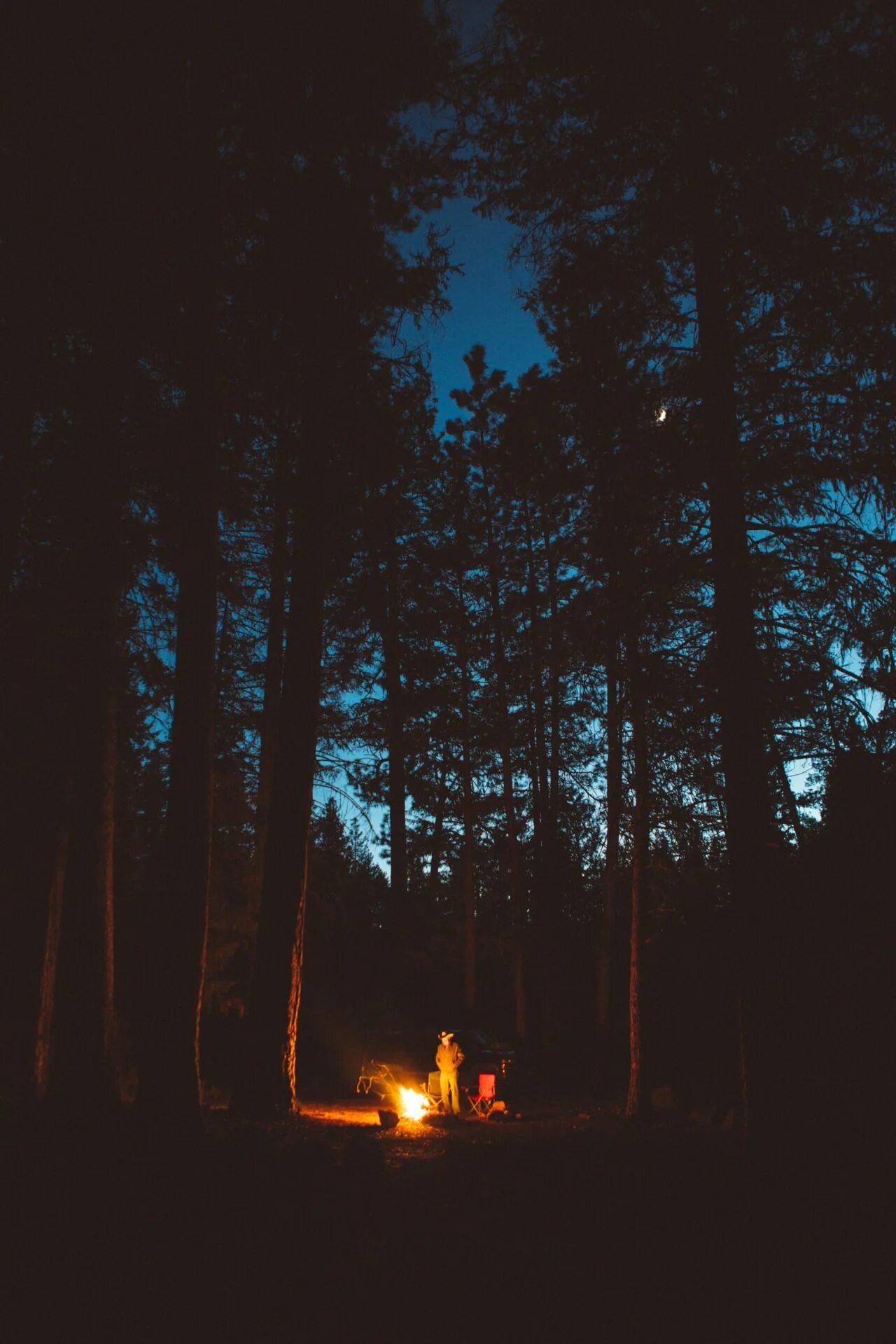 Оказаться ночью в лесу. «ночь в лесу». костер в лесу. костёр в лесу ночью. ночной лес.