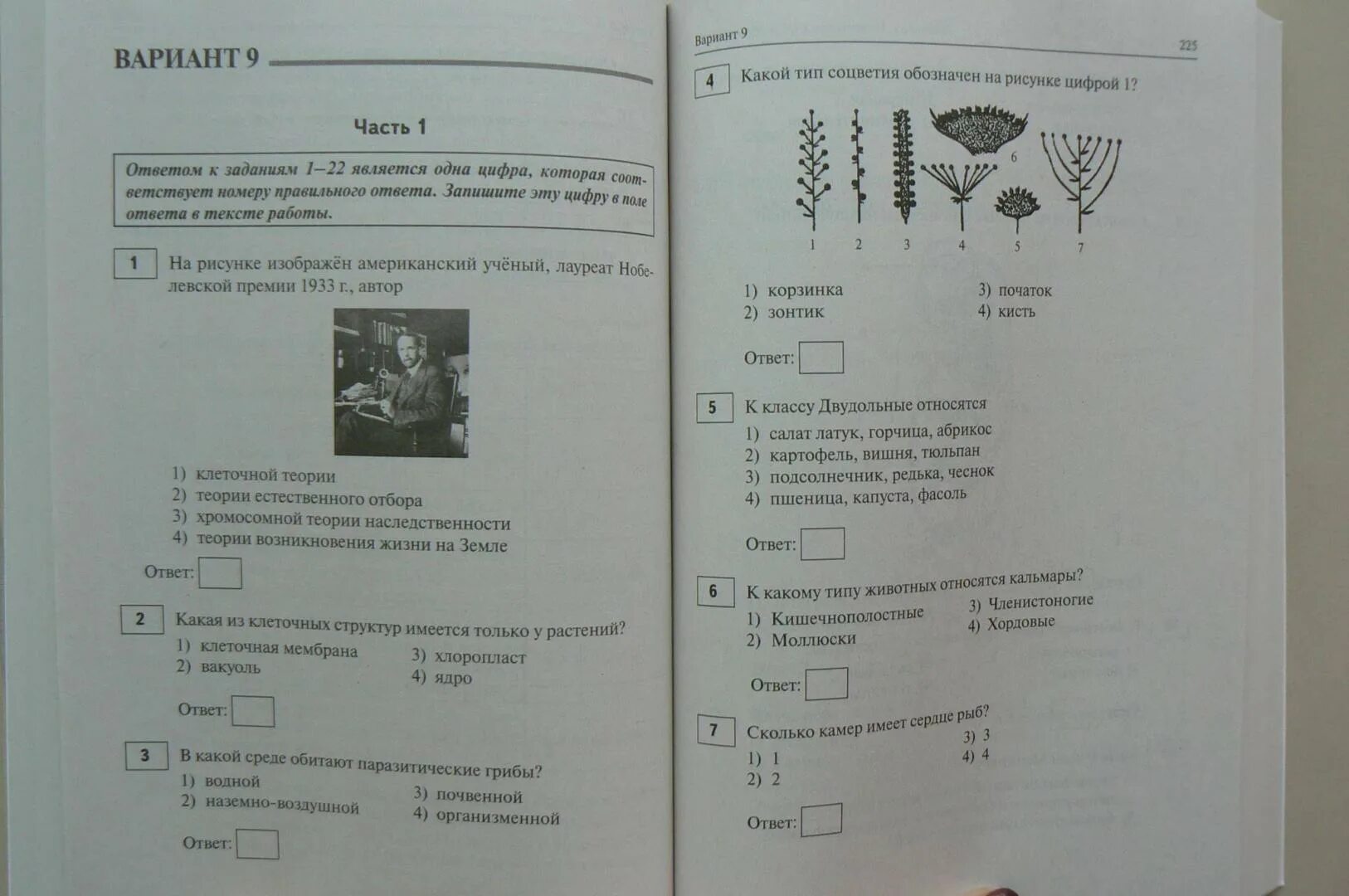 Решуогэ биология 9. КИМЫ по биологии 9 класс ОГЭ. Экзамен по биологии 9. Вопросы ОГЭ 9 класс биология. ОГЭ биология 9 класс задания.