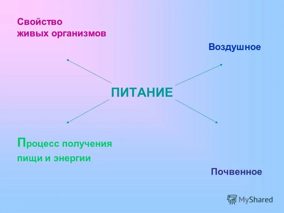 Признаки живого питание. Характеристика живых организмов. Живые свойства живых организмов. Свойства живого схема. Свойство живых организ.