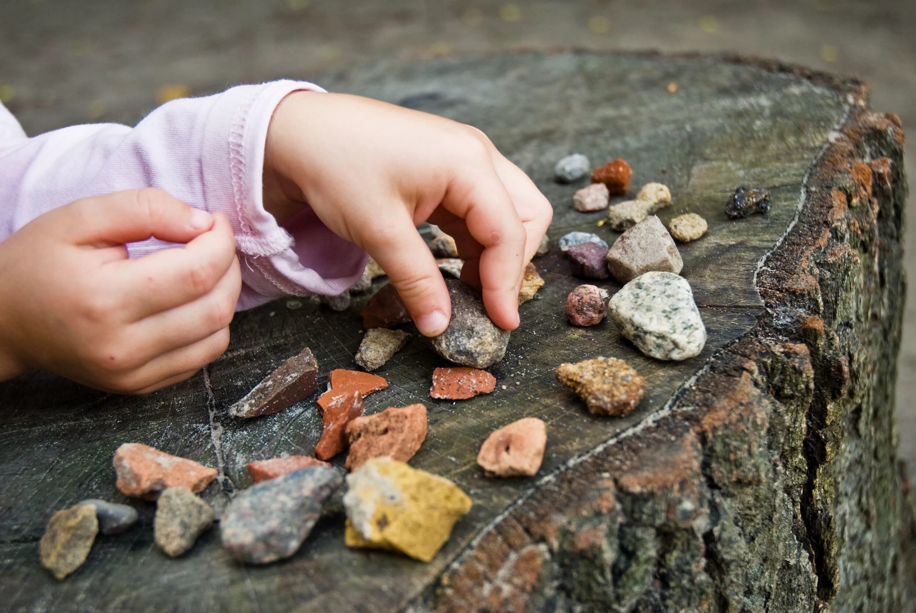 Камень для детей. Камни для дошкольников. Маленький камень. Ребенок собирает камешки.