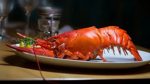 To De S Lobster The Maine Way Klenda Seafood Inc. Www Lobster ComHow. 