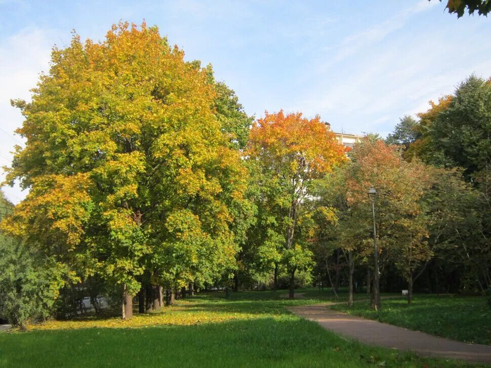 Осень солнце. Солнечный осенний день. Солнце осенью. Октябрьская осень. Октябрь ясно.