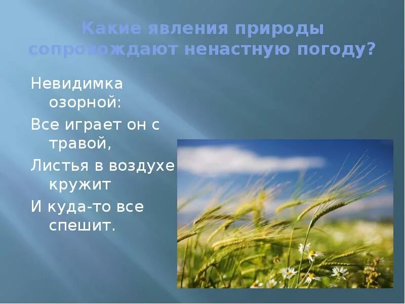 Ненастная погода что это. Умеренный дождь. Тропический шторм и ливень. Ненастная погода что это. Речка это явление природы или предмет.