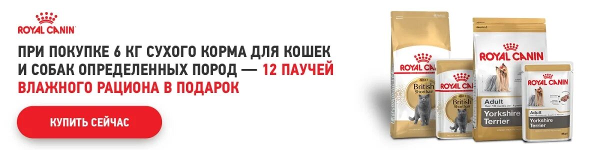 Хвостатый магазин корма для животных. Хвостатый магазин корма для животных