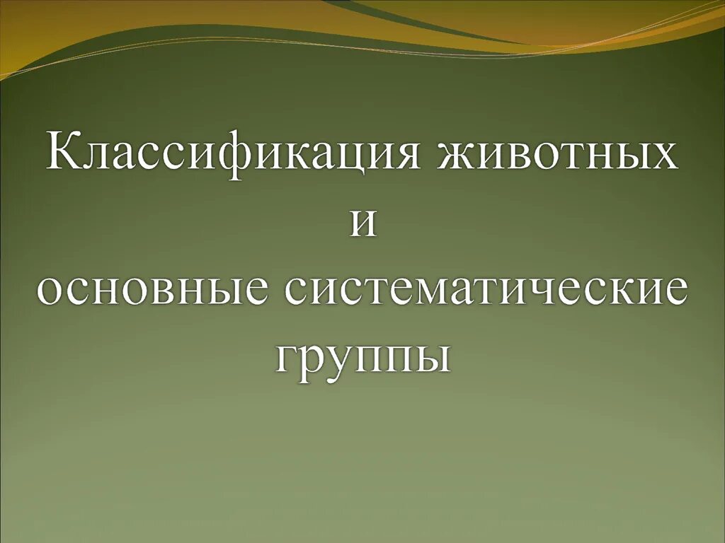 Классификация животных текст. Классификация животных и основные систематические группы. класс животных. принципы классификации животных. классификация животных окружающий мир.