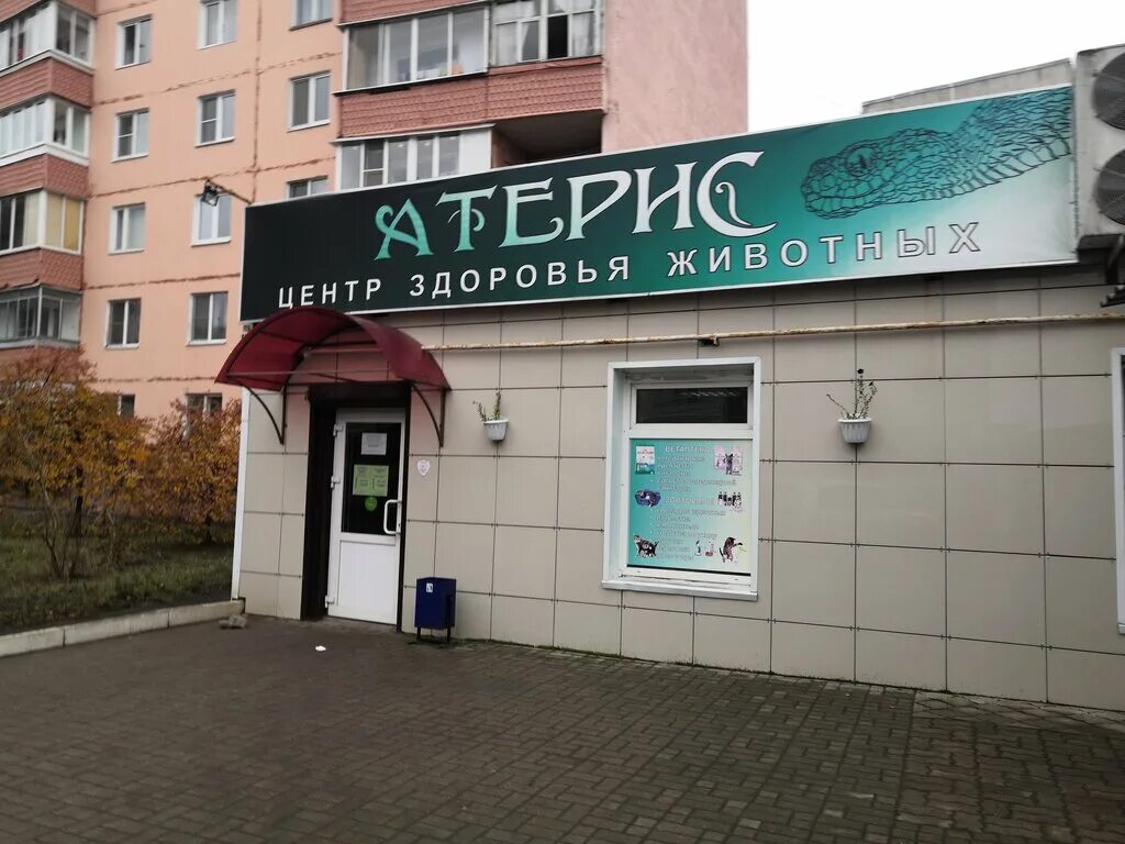 Атерис бул энтузиастов 2д тамбов фото Атерис бул энтузиастов 2д тамбов фото
