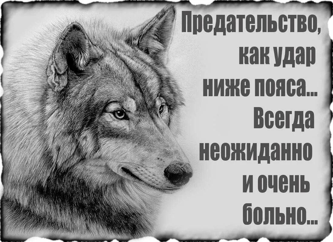 Предавать фрагмент