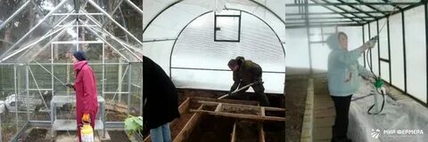 Чем полить землю в теплице осенью