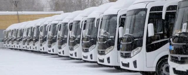 Автобус новосибирск первомайская. Новые автобусы. Автобус новосибирск. Загородный автобус. Автобус новосибирск.