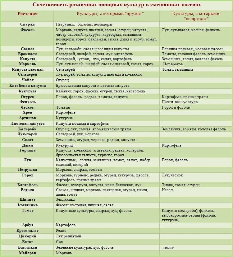 Таблица соседства на грядках. Совместимые посадки овощей в огороде таблица. Таблица совместимости растений на огороде соседство овощей. Совместимость овощей на огороде при посадке таблица. Совместимость растений при посадке в огороде таблица.