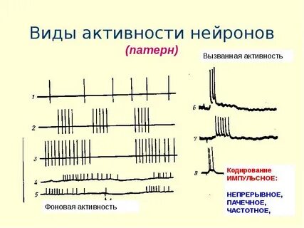 Нерегулярная активность