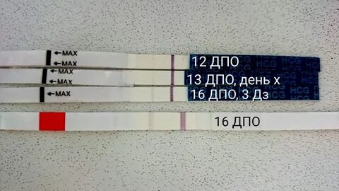 Ответы дпо