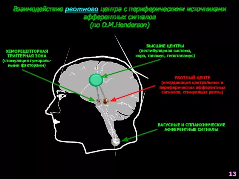 Триггерная зона рвотного центра. Рвотный центр мозга. Рвотный центр в головном мозге расположен.