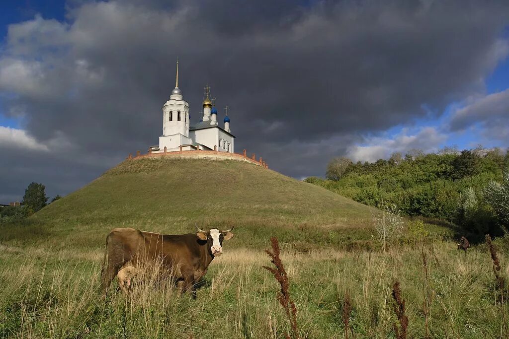 Церковь на холмах. Успенский монастырь Епифань Тульская область. Епифанский Успенский скит. Церковь в Епифани Тульской области. Успенский женский скит Епифань.