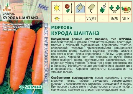 Морковь описание сорта фото отзывы