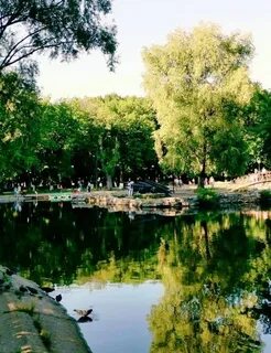 Создатели гагаринском парке