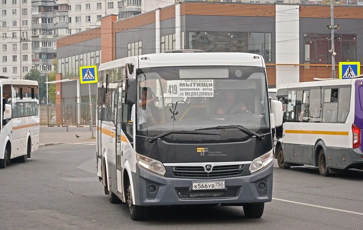 Паз вектор. Стекло лобовое паз вектор некст. Стекло лобовое паз 3203. Паз вектор некст мострансавто. Паз 320412 вектор некст.