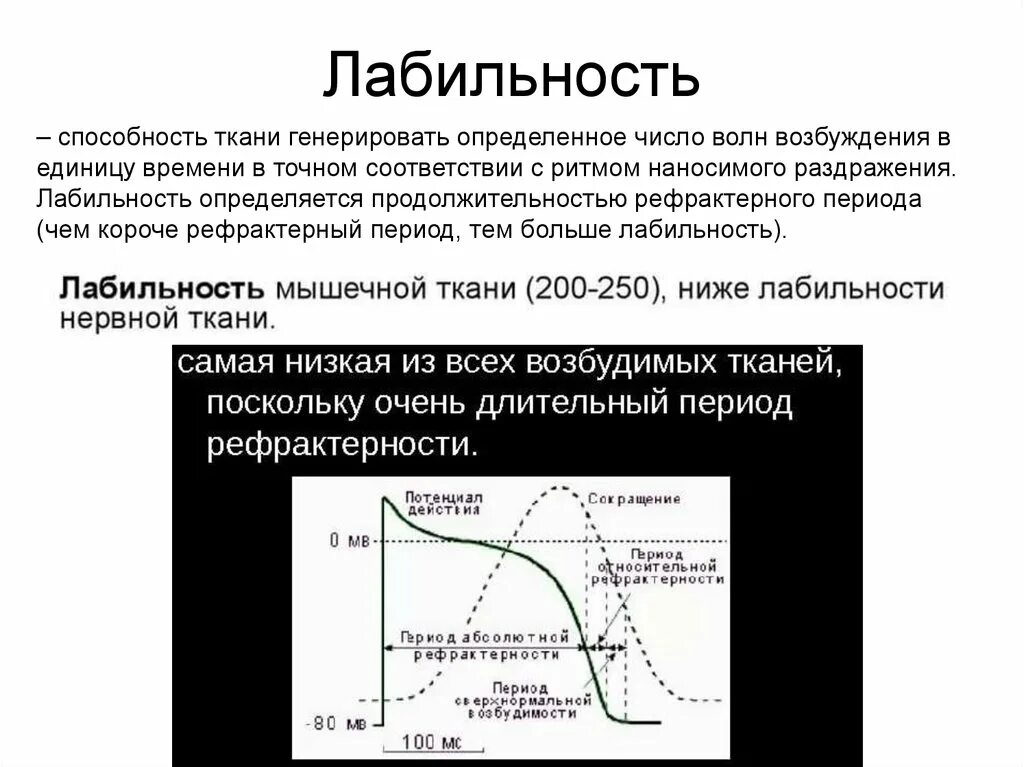 Как понять генерирует. Лабильность физиология. Понятие о лабильности. Лабильность или функциональная подвижность. Лабильность ткани физиология.