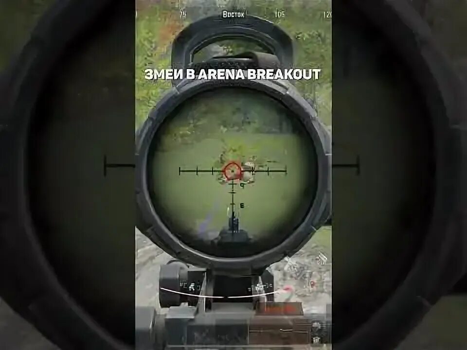 Arena breakout infinite пинг. Прицел нить arena breakout. arena breakout map. мосинка arena breakout infinite сборка. breakout arena memes.