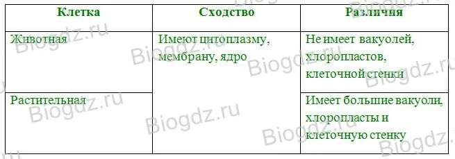 Черты сходства в строении растительной и животной клетки. Строение клеток растений и животных - черты сходства и различий. Задание сходства и различия строения клеток. Черты сходства и различия растительных и животных клеток.