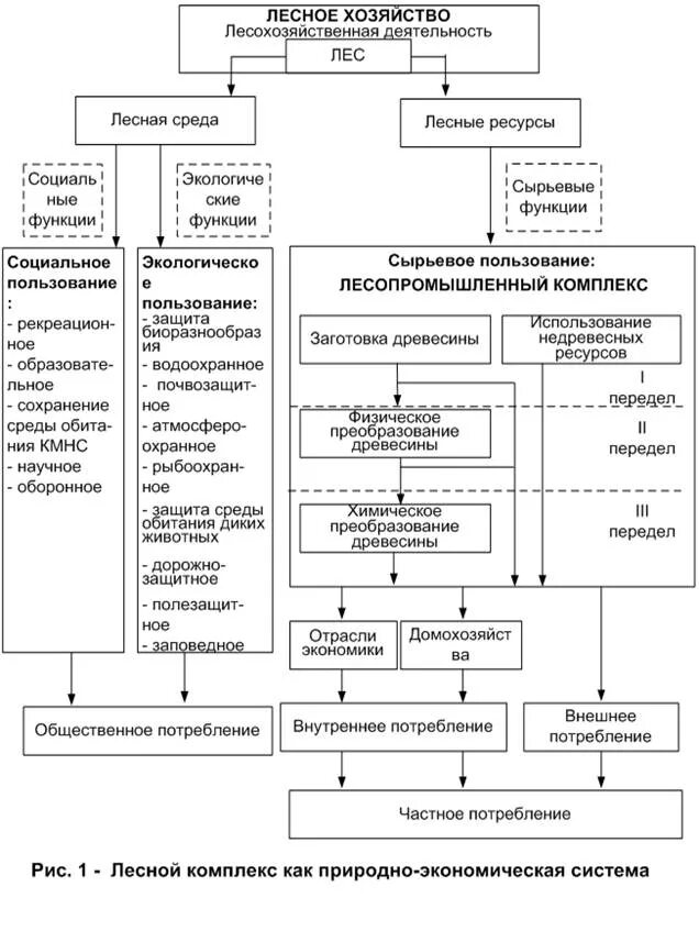Классификация лесных ресурсов. Функции лесной промышленности. функции лесного хозяйства. лесное хозяйство схема. структура лесных ресурсов.