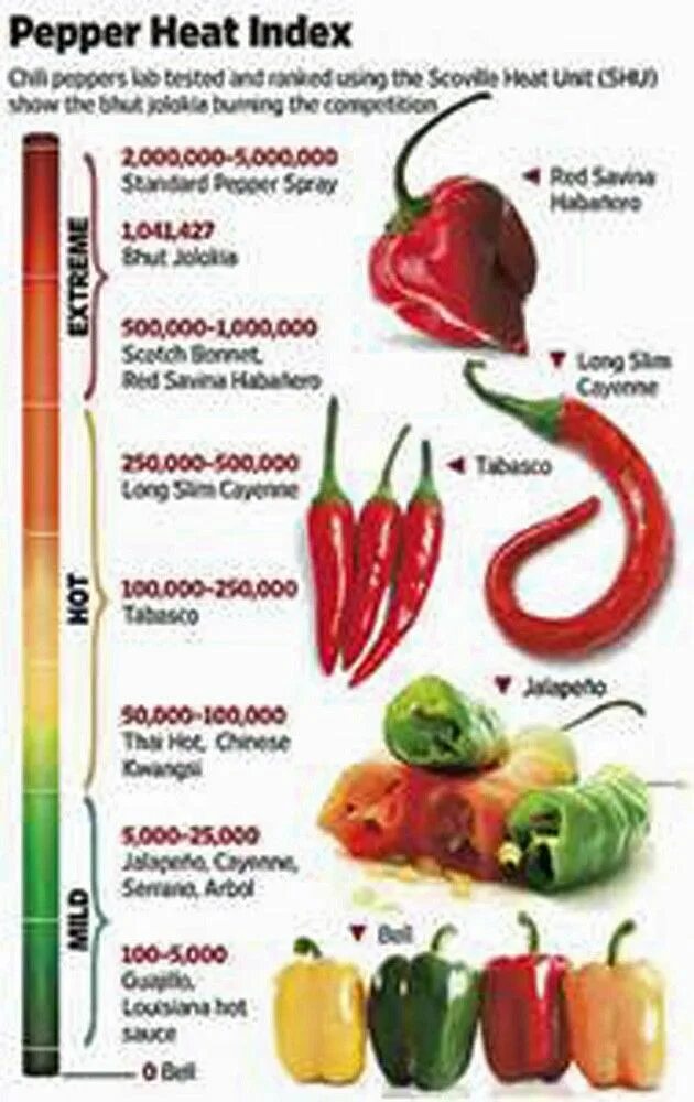 Халапеньо по шкале остроты. Табаско шкала сковилла. Халапеньо по шкале остроты. Перец халапеньо шкала сковилла. Шкала сковилла перец чили.