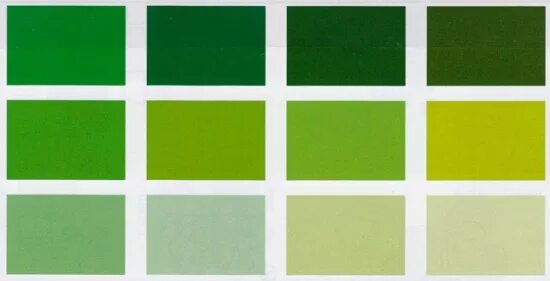 Раскладка зеленого. Оттенки зелёного цвета. Палитра зеленого цвета. Цветовая палитра зеленых оттенков. Оттенки зелёного цвета названия.