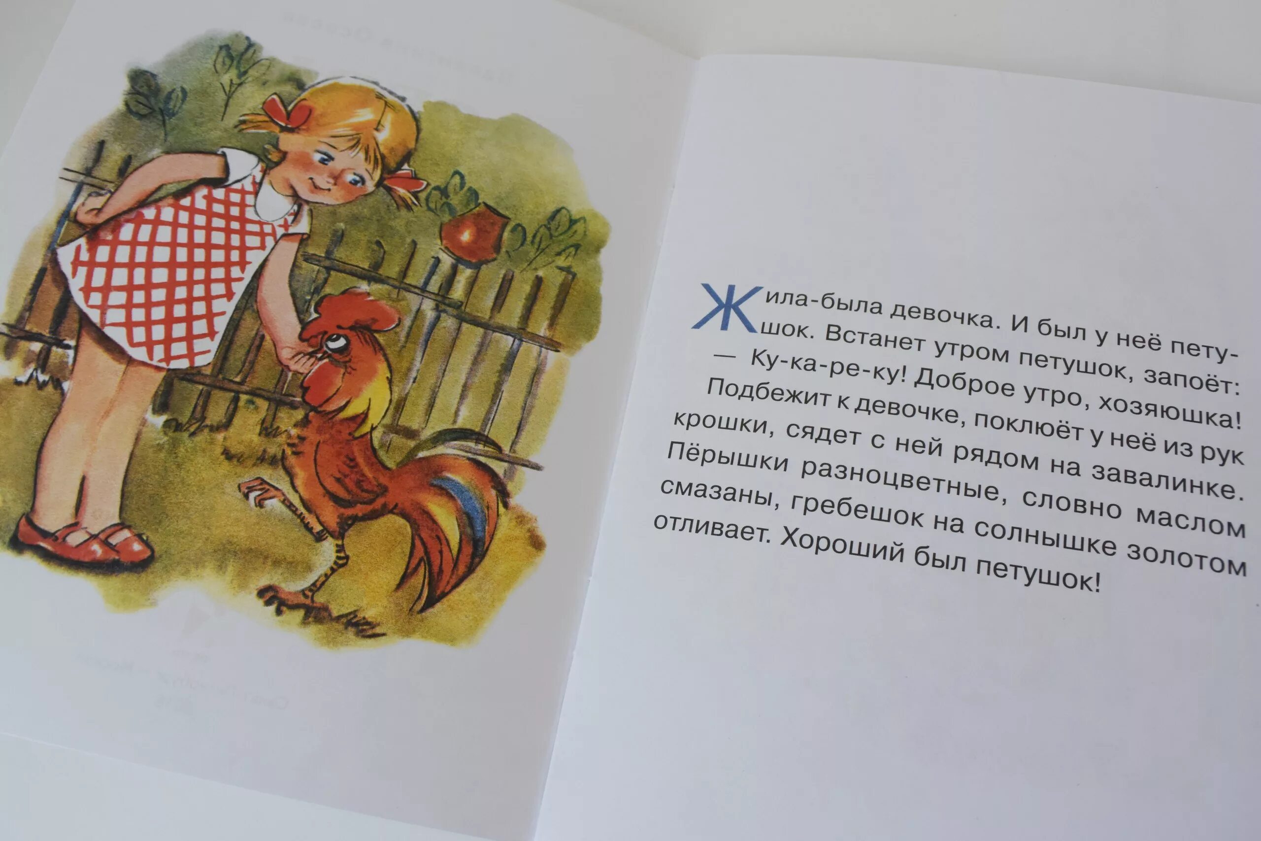 Добрая хозяюшка читать. Осеева в.а. "добрая Хозяюшка". Осеева добрая Хозяюшка иллюстрации. Сказка добрая Хозяюшка.