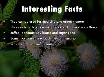 Interesting facts
