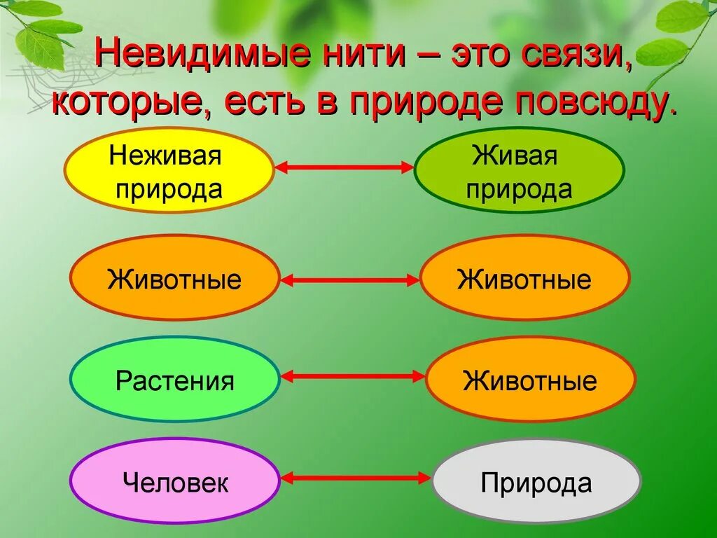 Невидимые нити в весеннем лесу примеры. Невидимые нити в весеннем лесу 2 класс окружающий мир. Схемы невидимых нитей в природе окружающий мир. Невидимые нити в осеннем лесу. Невидимые нити схема.