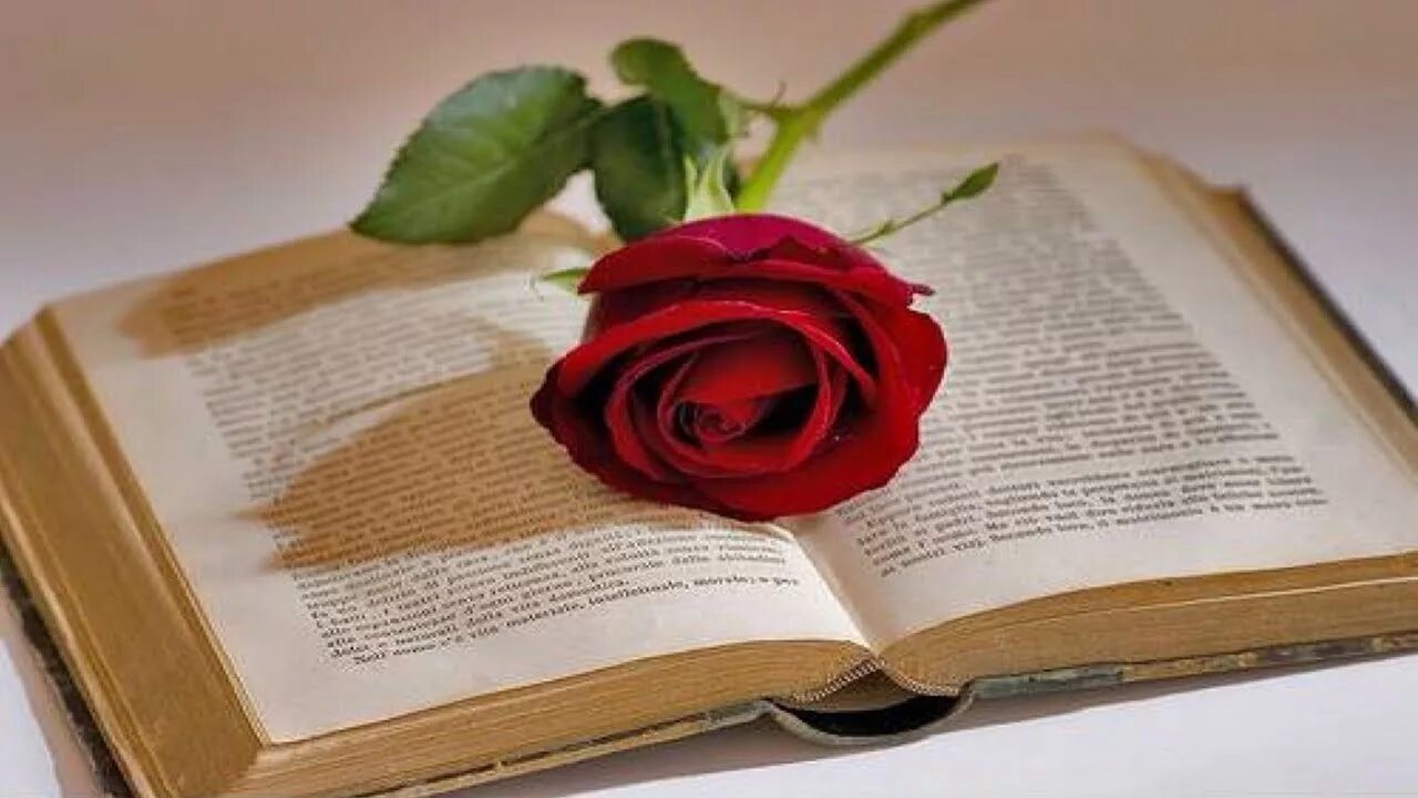 Книга цветы. Книги о цветах. Стопка книг. Книга розы картинки. Книга розы картинки.